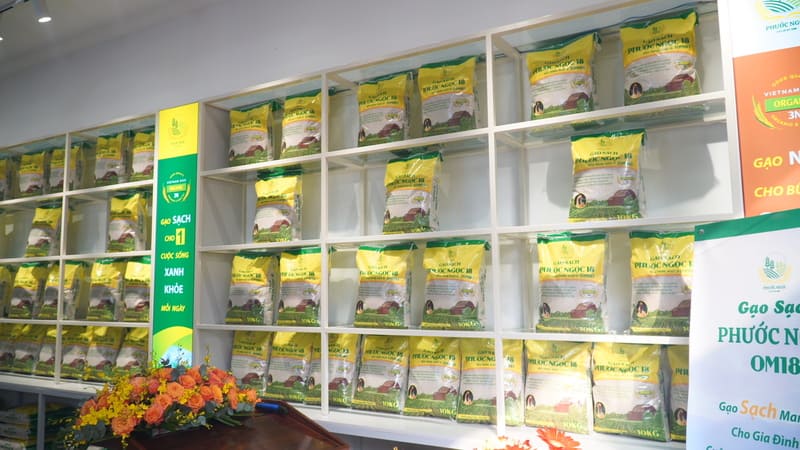 Chọn Gạo Sạch Hữu Cơ - Chọn Giá Trị Tốt Cho Sức Khỏe