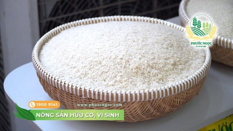Vì sao bạn nên chọn gạo hữu cơ cho bữa cơm gia đình?