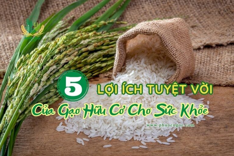 5 Lợi Ích Tuyệt Vời Của Gạo Hữu Cơ Cho Sức Khỏe