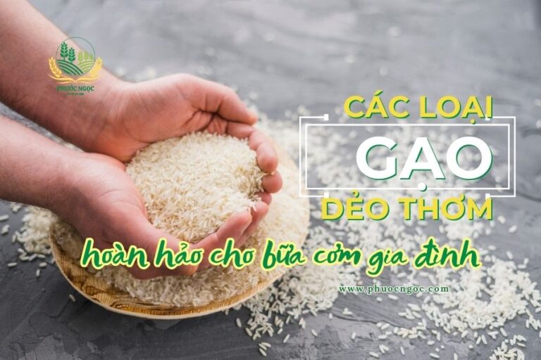 Các loại gạo dẻo thơm hoàn hảo cho bữa cơm gia đình