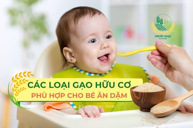 Các loại gạo ngon hữu cơ phù hợp cho bé ăn dặm