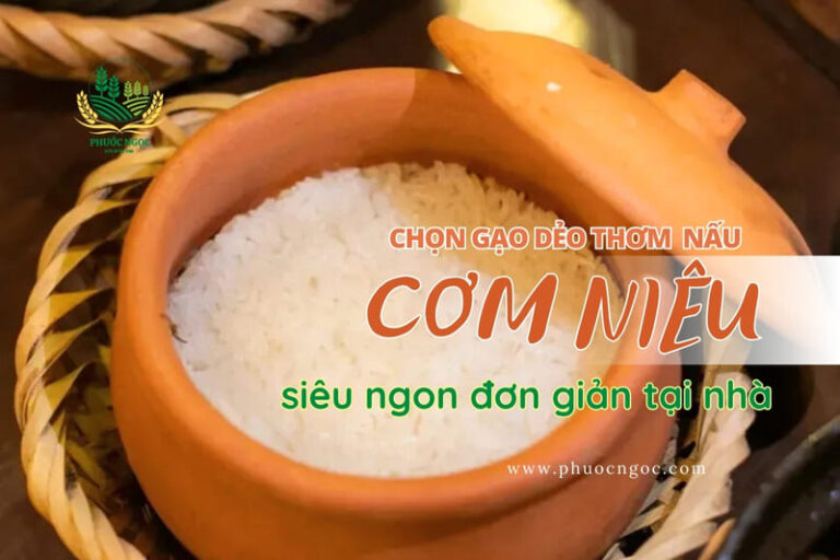 Chọn gạo dẻo thơm nấu cơm niêu siêu ngon đơn giản tại nhà