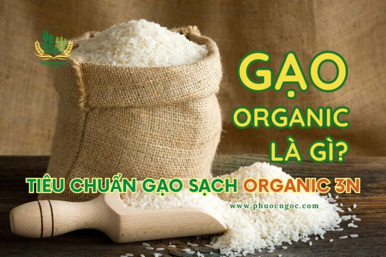 Gạo organic là gì? Tiêu chuẩn gạo sạch organic 3N