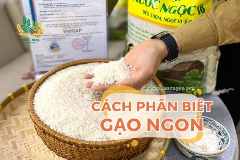 Cách phân biệt gạo nào ngon và gạo kém chất lượng