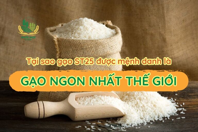 Tại sao gạo ST25 được mệnh danh là "gạo ngon nhất thế giới"?