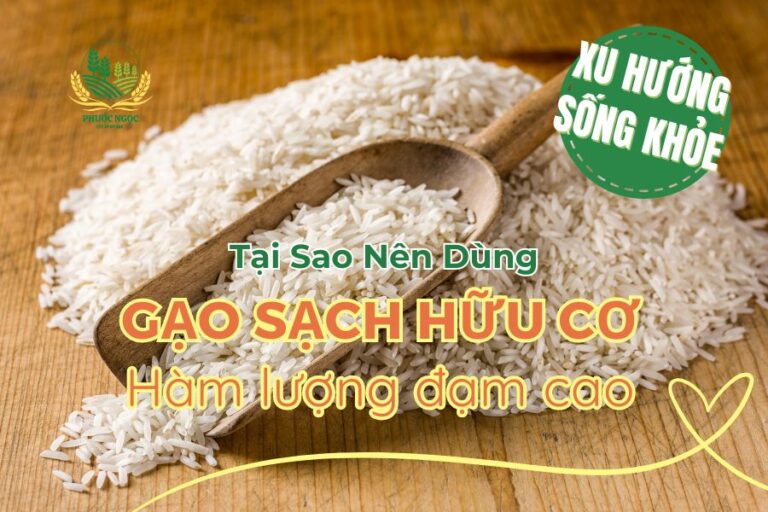 Tại sao nên dùng Gạo Sạch Hữu Cơ hàm lượng đạm cao?