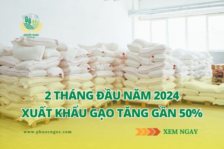 Xuất khẩu gạo tăng gần 50% trong 2 tháng đầu năm 2024