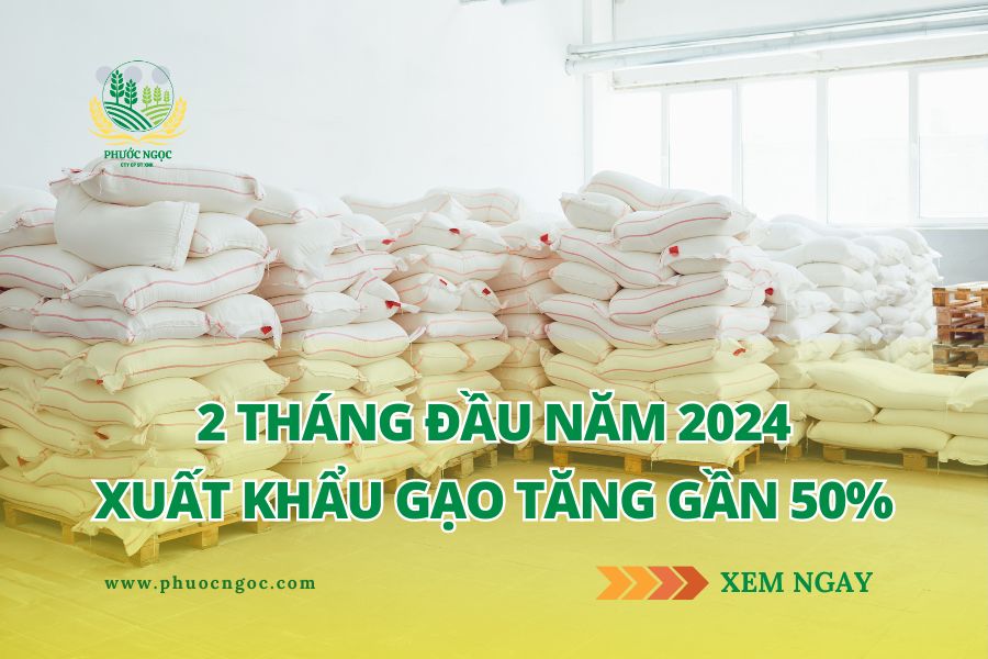 Xuất khẩu gạo tăng gần 50% trong 2 tháng đầu năm 2024