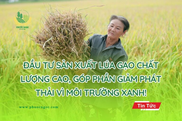 Gia đình Việt dùng gạo sạch, góp phần giảm phát thải vì môi trường xanh!