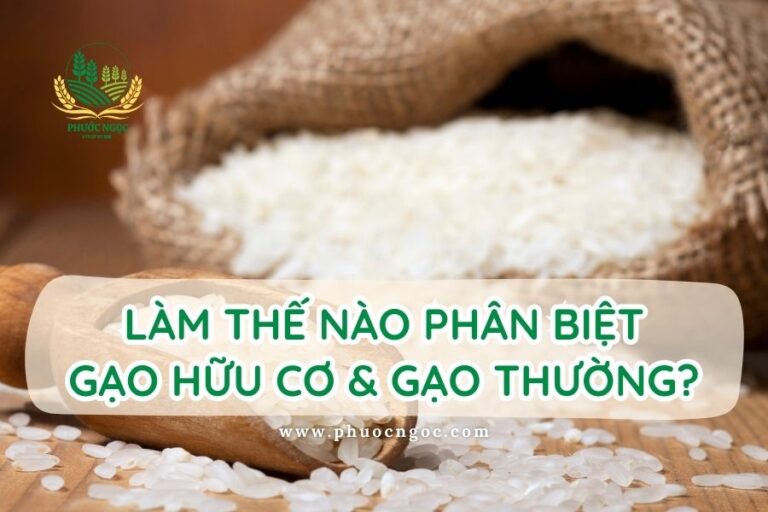 Làm thế nào phân biệt gạo hữu cơ và gạo thông thường?