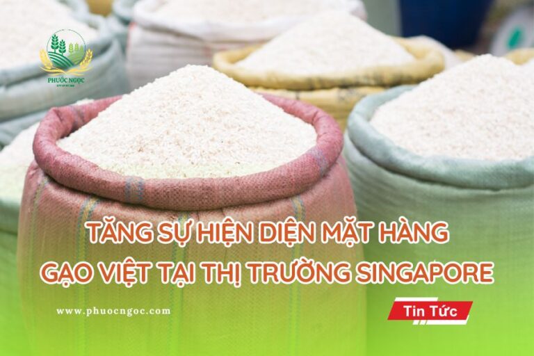 Tăng sự hiện diện Gạo Việt Nam tại thị trường Singapore