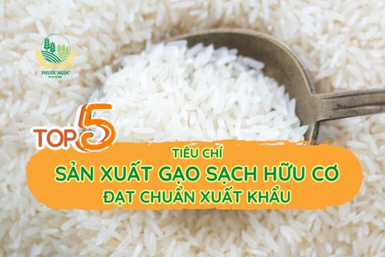 Top 5 tiêu chí sản xuất gạo sạch hữu cơ đạt chuẩn xuất khẩu