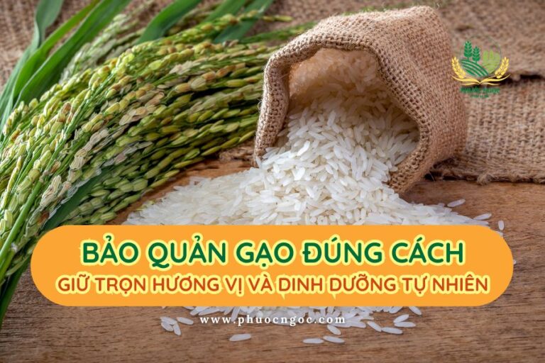 Bảo quản gạo đúng cách để giữ trọn hương vị và dinh dưỡng tự nhiên