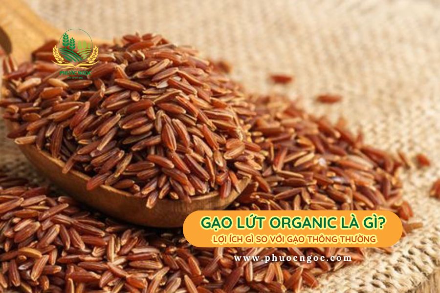 Gạo lứt organic là gì? Lợi ích gì so với gạo thông thường