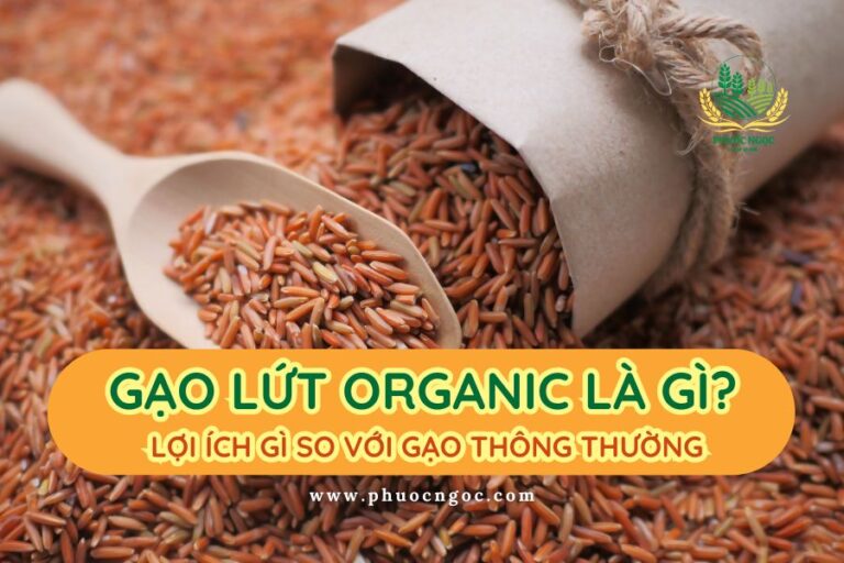 Gạo lứt organic là gì? Lợi ích gì so với gạo thông thường