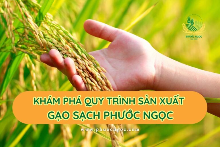 Khám phá quy trình sản xuất gạo sạch từ Phước Ngọc