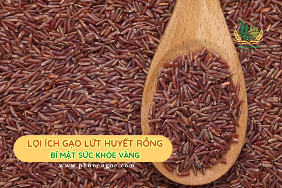 lợi ích gạo lứt huyết rồng, bạn đã biết chưa?