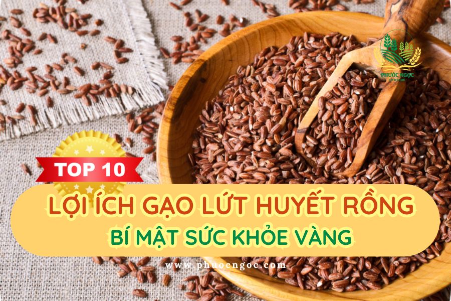 Top 10 lợi ích gạo lứt huyết rồng - Bí mật sức khỏe vàng
