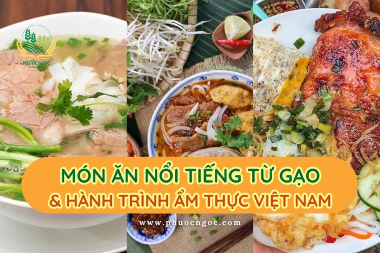 Hành trình ẩm thực Việt Nam qua những món ăn nổi tiếng từ gạo