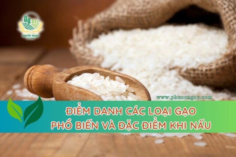 Điểm danh các loại gạo phổ biến và đặc điểm khi nấu