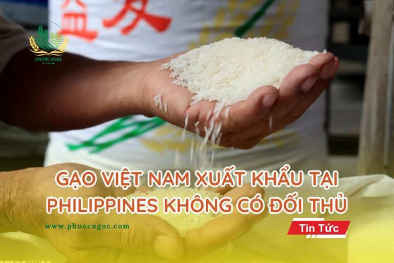 Gạo Việt Nam Xuất Khẩu Tại Philippines Không Có Đối Thủ