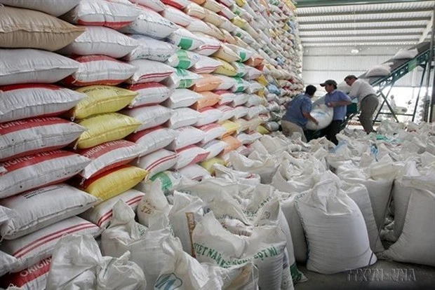 Thị Trường Xuất Khẩu Gạo Việt Nam
