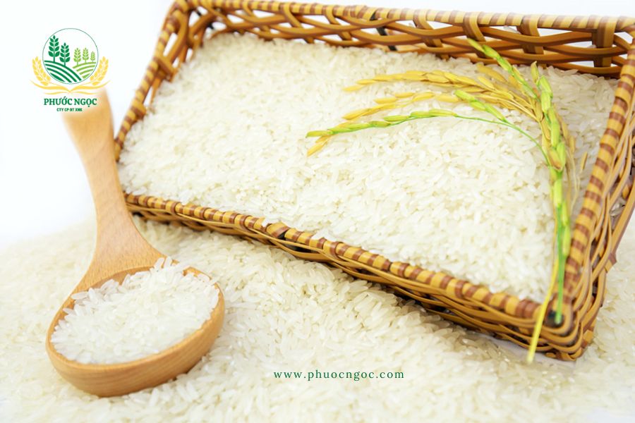 Khám phá hương vị các loại Gạo Bắc Hương phổ biến