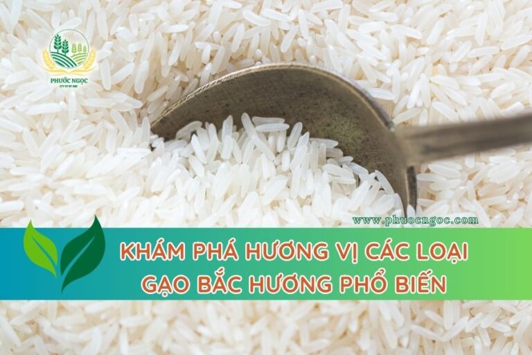Khám phá hương vị các loại Gạo Bắc Hương phổ biến