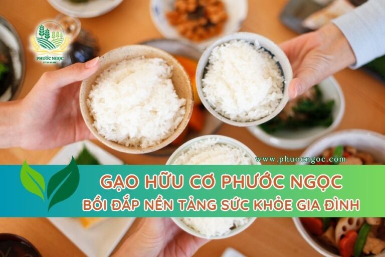 Mua gạo hữu cơ Phước Ngọc - bồi đắp nền tảng sức khỏe gia đình