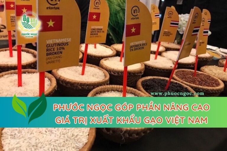 Phước Ngọc góp phần nâng cao giá trị xuất khẩu gạo Việt Nam