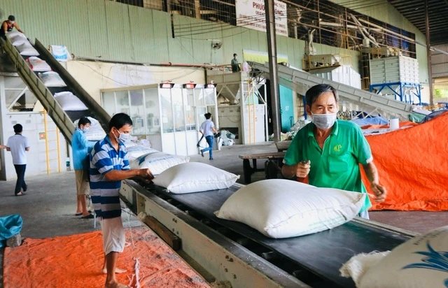 Việt Nam tăng cơ hội xuất khẩu khi Philippines giảm thuế nhập khẩu gạo