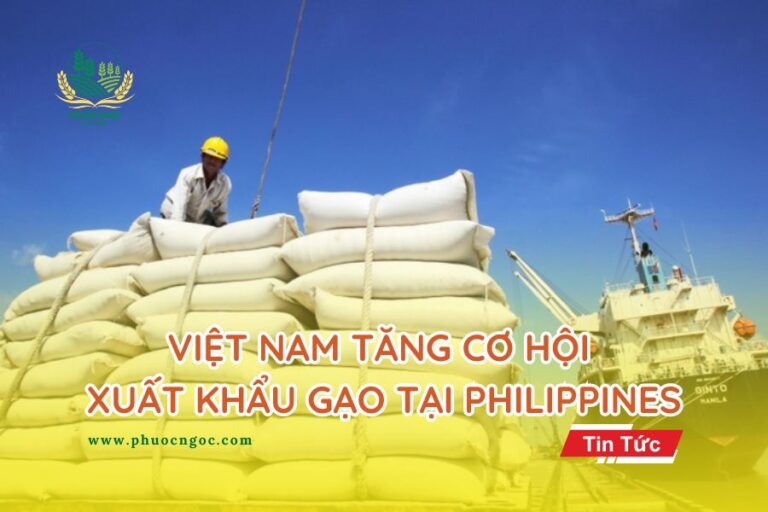 Việt Nam tăng cơ hội xuất khẩu khi Philippines giảm thuế nhập khẩu gạo