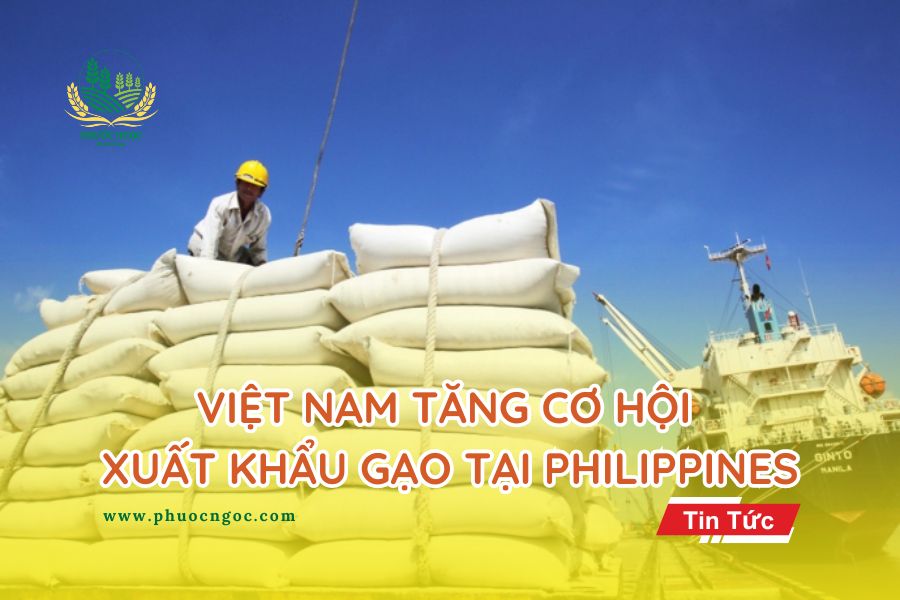 Việt Nam tăng cơ hội xuất khẩu khi Philippines giảm thuế nhập khẩu gạo