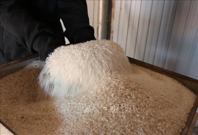 Chính sách tại Ấn Độ được thị trường gạo chờ đợi