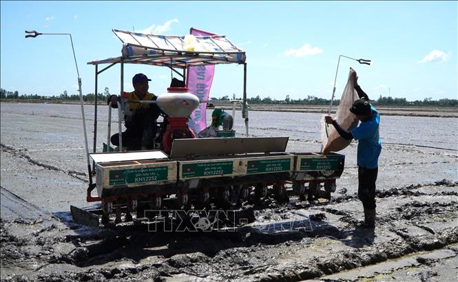 Đề án 1 triệu ha lúa chất lượng cao, phát thải thấp tại Đồng Tháp
