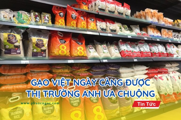 Gạo Việt ngày càng được thị trường Anh ưa chuộng