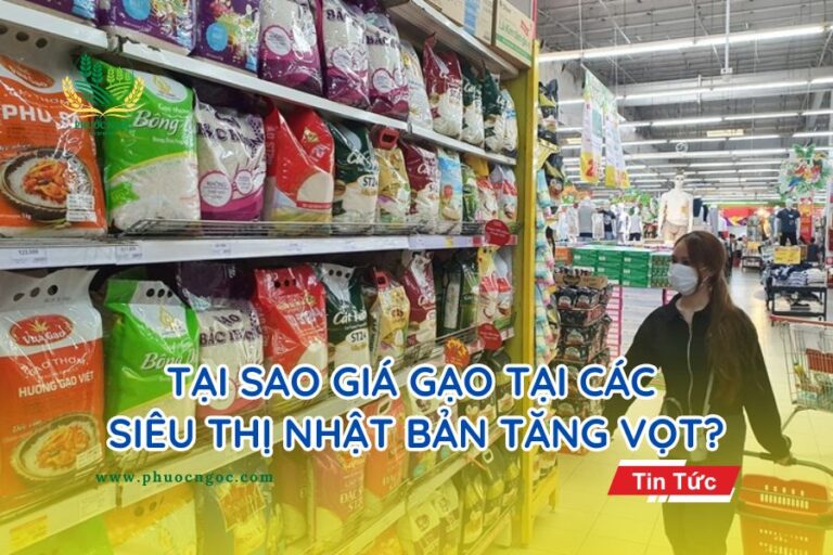 Tại sao giá gạo tại các siêu thị Nhật Bản tăng vọt?