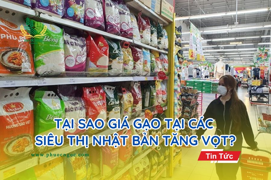 Tại sao giá gạo tại các siêu thị Nhật Bản tăng vọt?