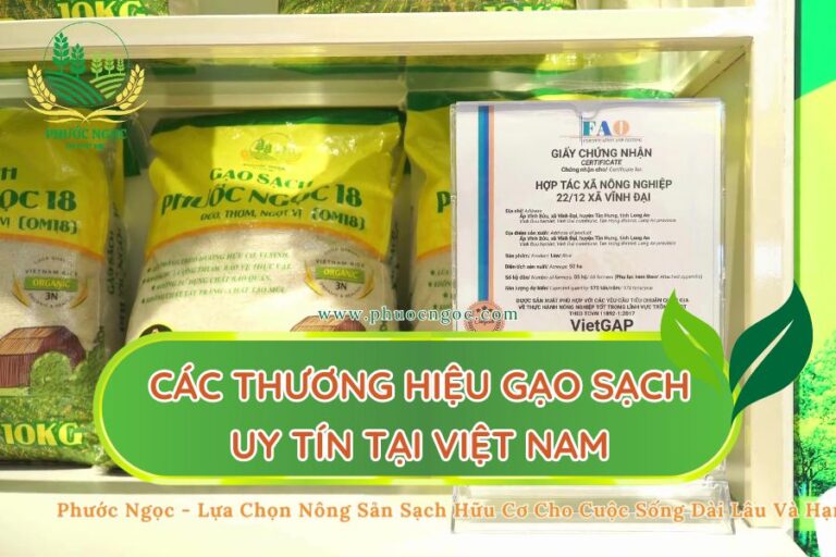 Các thương hiệu gạo sạch uy tín tại Việt Nam