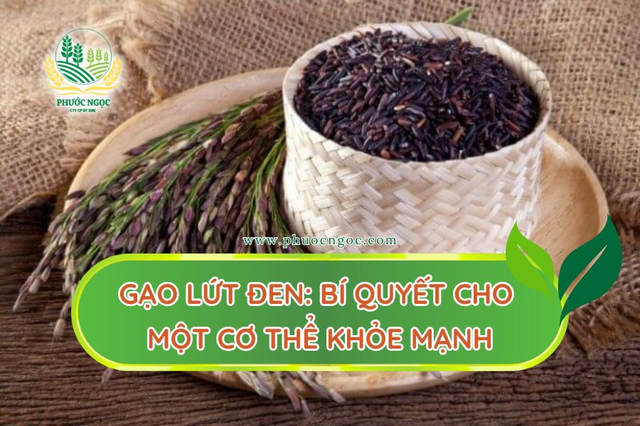 Gạo lứt đen: Bí quyết cho một cơ thể khỏe mạnh