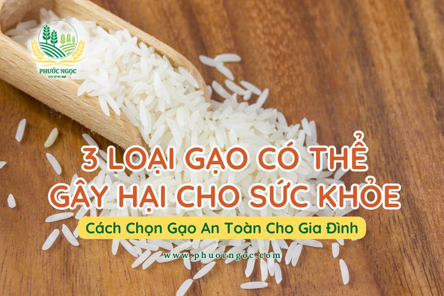 3 Loại Gạo Có Thể Gây Hại Cho Sức Khỏe - Cách Chọn Gạo An Toàn Cho Gia Đình