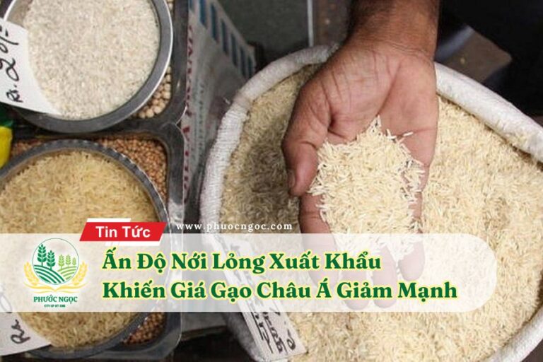 Ấn Độ Nới Lỏng Xuất Khẩu Khiến Giá Gạo Châu Á Giảm Mạnh