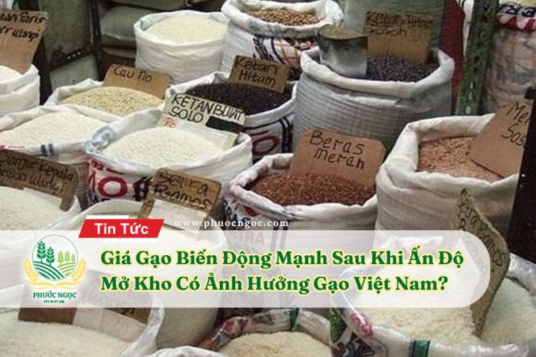 Giá Gạo Biến Động Mạnh Sau Khi Ấn Độ Mở Kho Có Ảnh Hưởng Gạo Việt Nam?