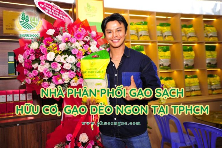 Phước Ngọc - Nhà Phân Phối Gạo Sạch Hữu Cơ, Gạo Dẻo Ngon Tại TP.HCM