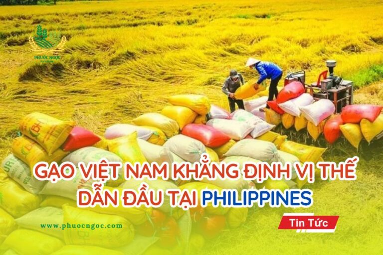 Gạo Việt Nam Khẳng Định Vị Thế Dẫn Đầu Tại Philippines