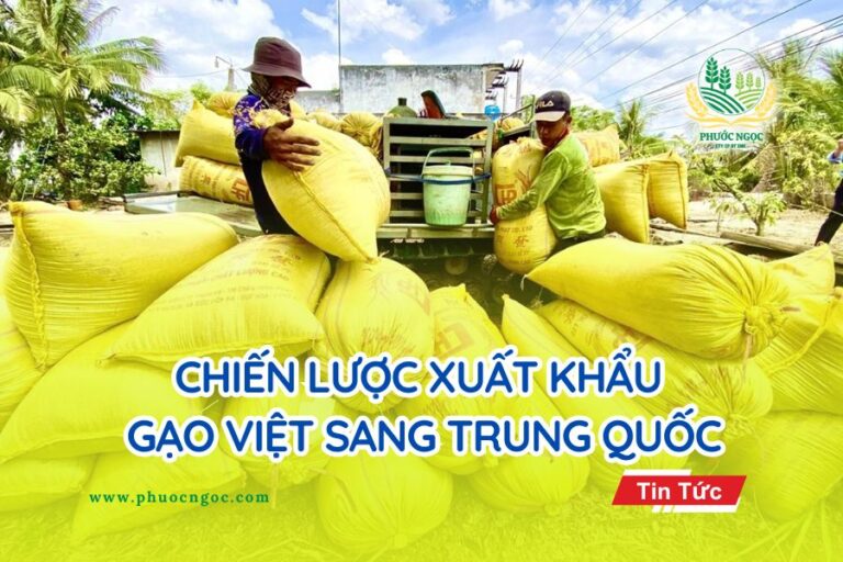 Chiến Lược Xuất Khẩu Gạo Việt Sang Trung Quốc
