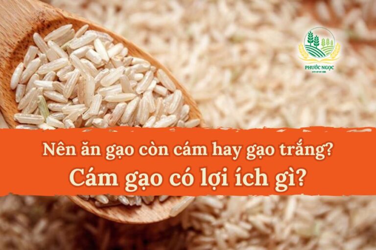 Nên ăn gạo còn cám hay gạo trắng? Cám gạo có lợi ích gì?