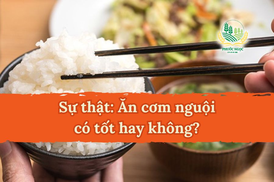 Sự thật: Ăn cơm nguội có tốt hay không?