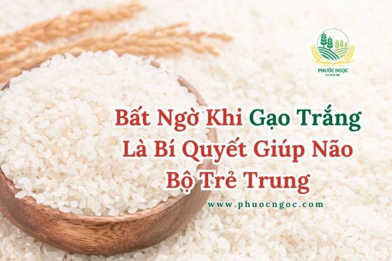 Bất Ngờ Khi Gạo Trắng Là Bí Quyết Giúp Não Bộ Trẻ Trung