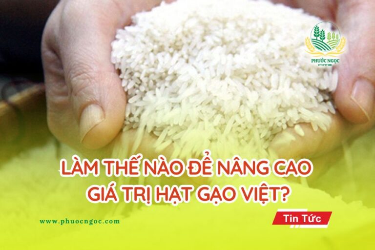 Làm thế nào để nâng cao giá trị hạt gạo Việt?